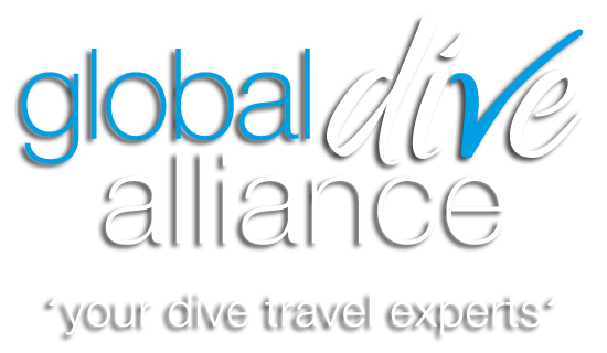 globaldivealliance